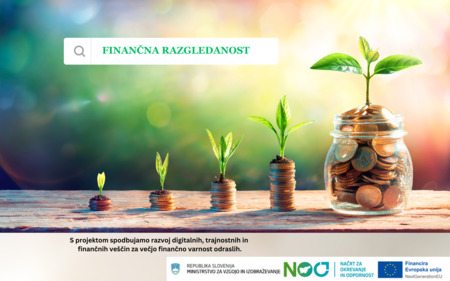 finančna razgledanost