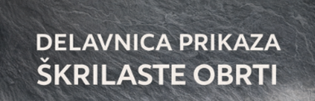 delavnica