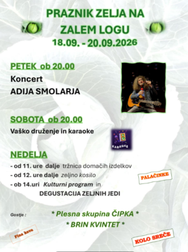 Posnetek zaslona (47)